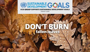 Week 4: Don’t burn fallen leaves