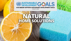 Week 21: Natural Home Solutions