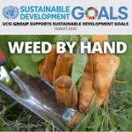 Week 33: Weed by Hand