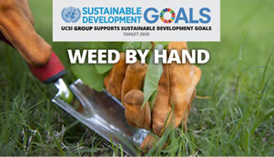 Week 33: Weed by Hand