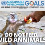 Week 38: Do not feed wild animals