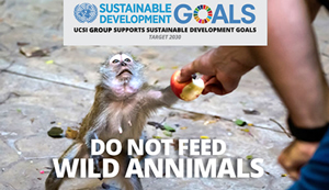 Week 38: Do not feed wild animals