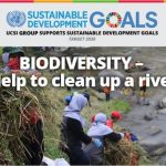 Week 4: Biodiversity – Help to clean up a river