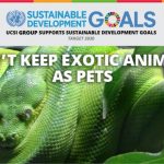 Week 10: Don’t keep exotic animals as pets