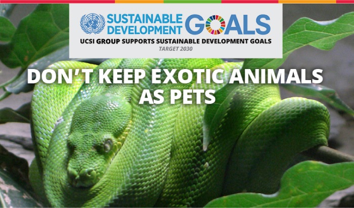 Week 10: Don’t keep exotic animals as pets