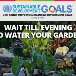 Week 12: Wait till evening to water your garden