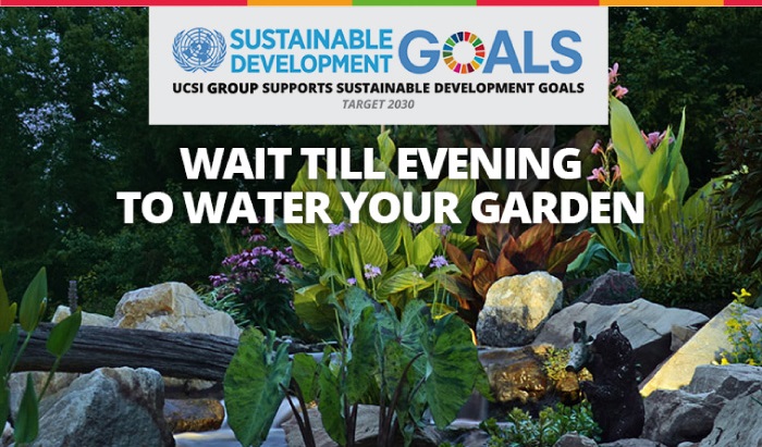 Week 12: Wait till evening to water your garden
