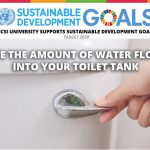 Week 19: Reduce the amount of water flowing into your toilet tank