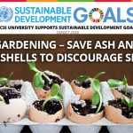 Week 26: Gardening – Save Ash and Eggshells to Discourage Slugs