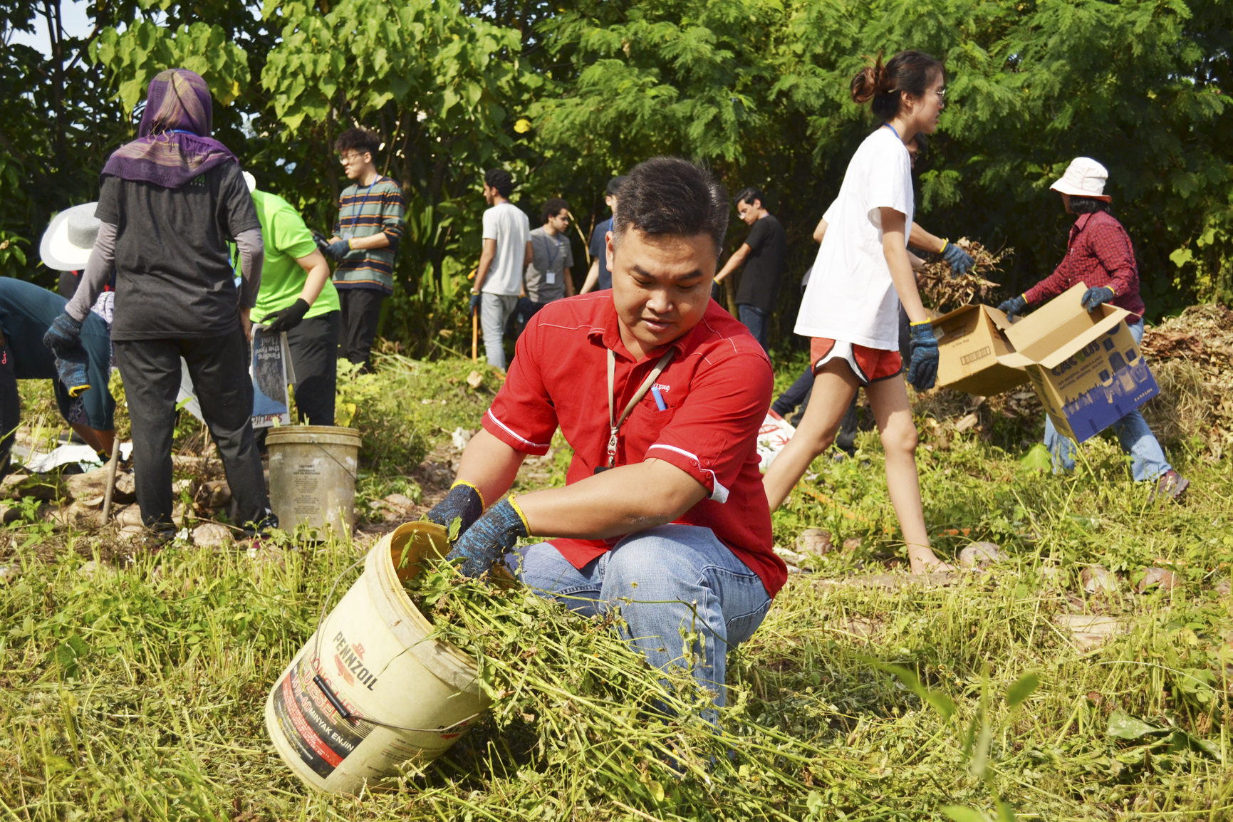 UCSI Goes Beyond Organic