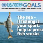 Week 44:The Sea- If Fishing Is Your Sport, Help To Preserve Fish Stocks