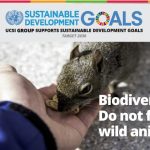 Week 2: Biodiversity- Do not feed wild animals