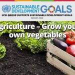 Week 6: Agriculture- Grow Your Own Vegetables