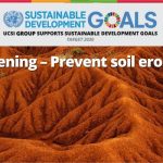 Week 14 : Gardening – Prevent Soil Erosion