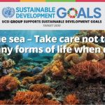 Week 23 : The Sea- Take Care Not To Harm Any Forms Of Life When Diving