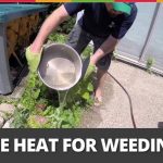 Week 27 :Use Heat For Weeding