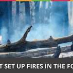 Week 28 :Don’t Set Up Fires In The Forest