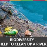 Week 34 :Biodiversity-Help To Clean Up A River