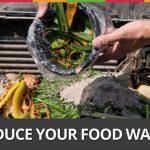 Week 49: Reduce Your Food Waste