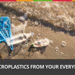 Week 50: Ban Microplastics From Your Everyday Life