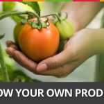 Week 51: Grow Your Own Produce