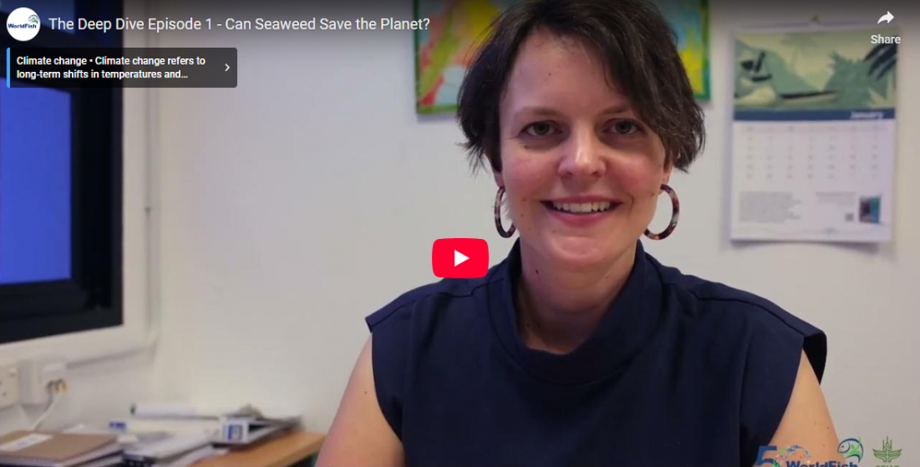 Can Seaweed Save the Planet?