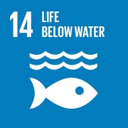sdg-14-life-below-water
